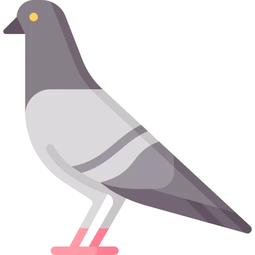 Icône Filets anti-pigeons à Marseille — Marseille Désinsectisation