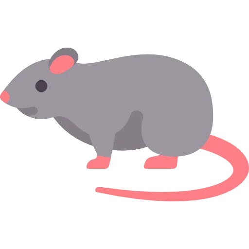 dératisation lutte contre les souris marseille traitement de souris rats